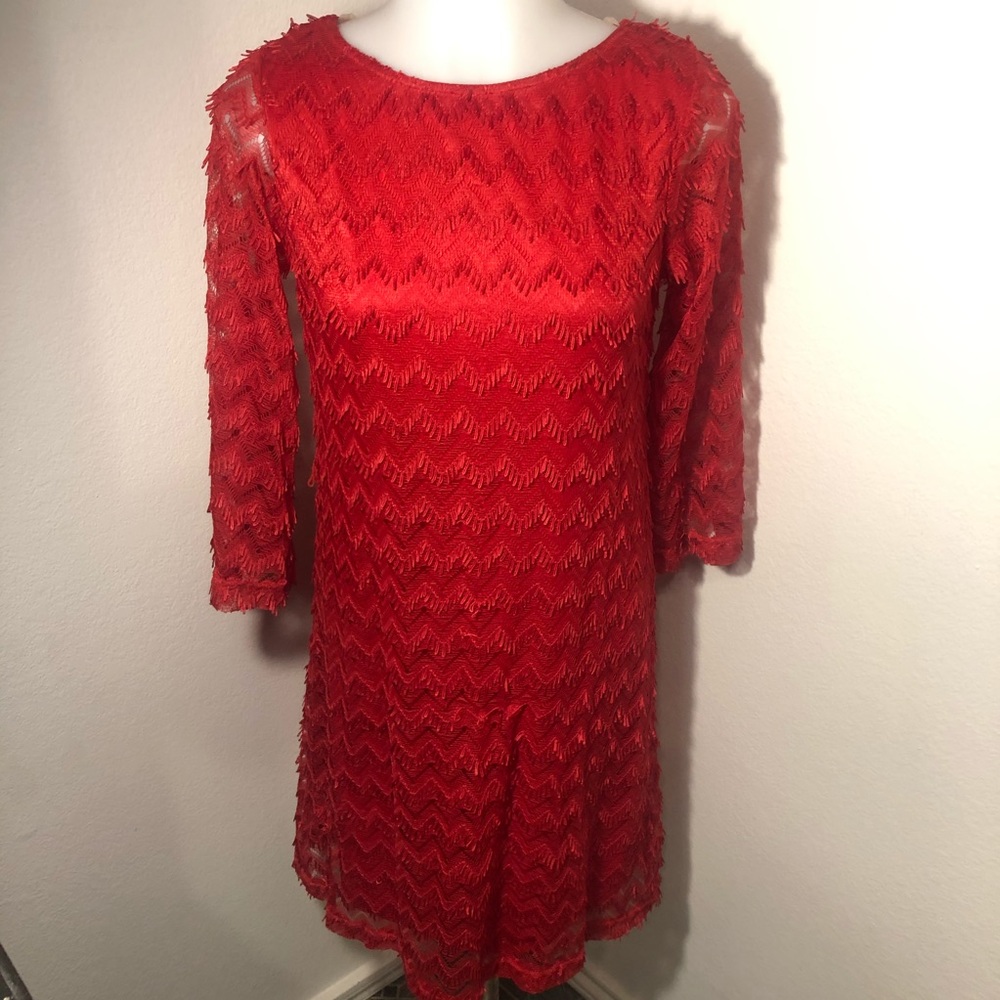Sharagano Fringe Dress